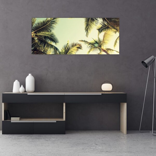 Obraz s kokosovými palmami (120x50 cm)