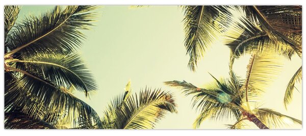 Obraz s kokosovými palmami (120x50 cm)