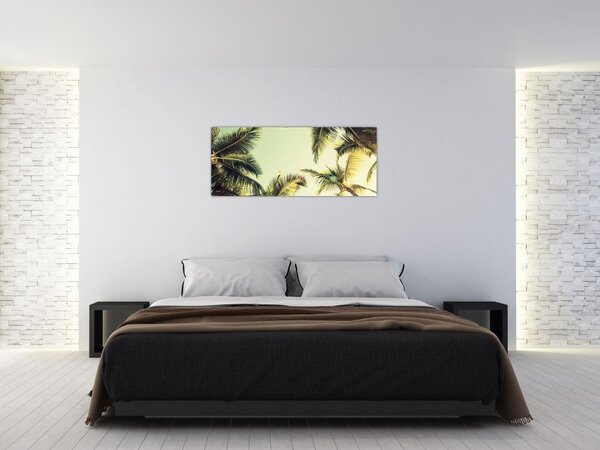 Obraz s kokosovými palmami (120x50 cm)
