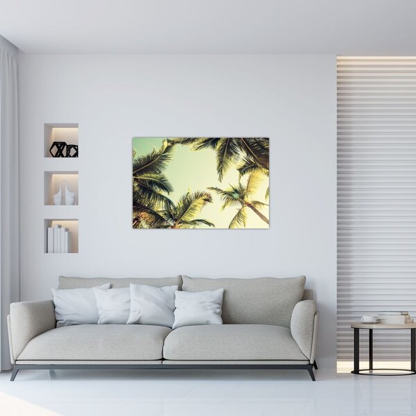 Obraz s kokosovými palmami (90x60 cm)