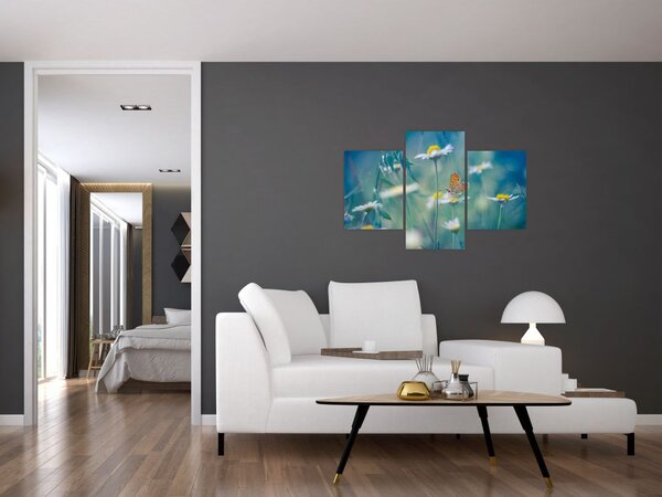 Obraz - Motýľ na sedmokráske (90x60 cm)