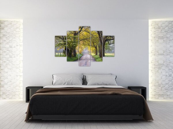 Obraz - Smoky Mountains, Gatlinburg, USA (150x105 cm)