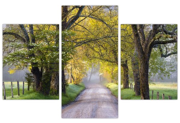 Obraz - Smoky Mountains, Gatlinburg, USA (90x60 cm)