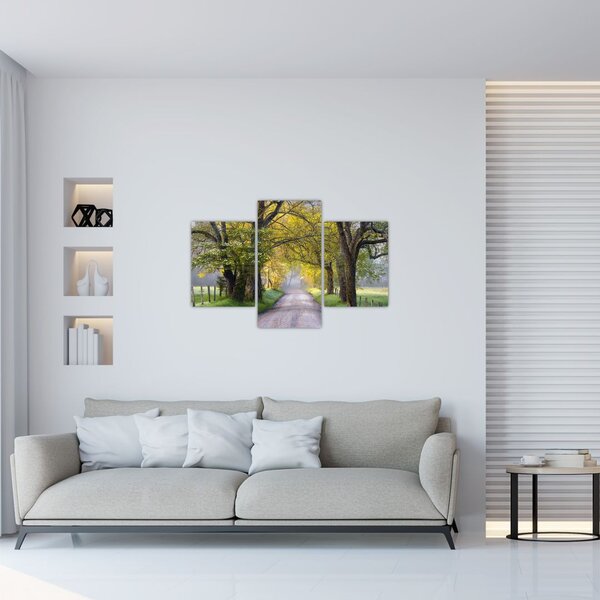 Obraz - Smoky Mountains, Gatlinburg, USA (90x60 cm)