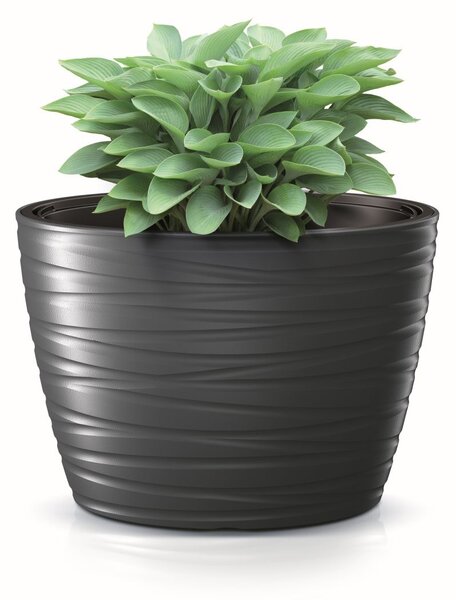 Prosperplast Oválny kvetináč s vložkou Maxe biely 58,5cm