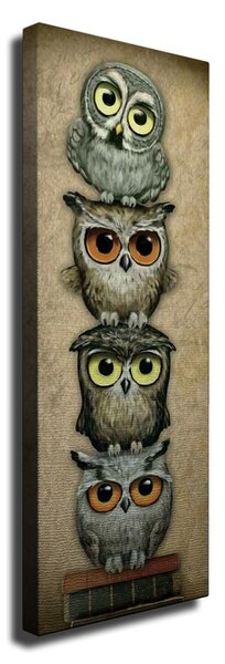Hanah Home Obraz Sovy 30x80 cm