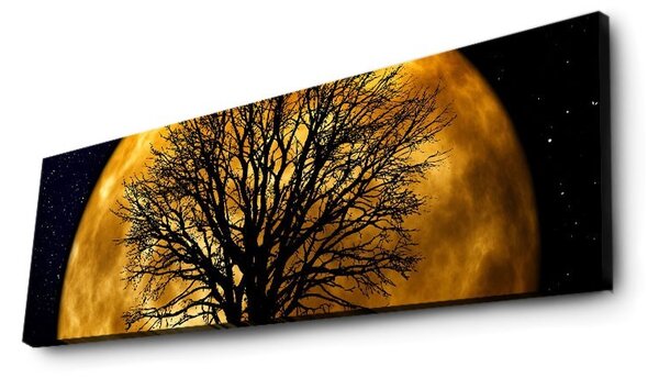 Hanah Home Obraz s led osvetlením Ledda Night 90x30 cm