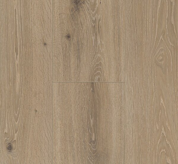 PARADOR Trendtime 6 Dub Castell bielený kartáčovaná štruktúra 1371173 - 2.67 m2