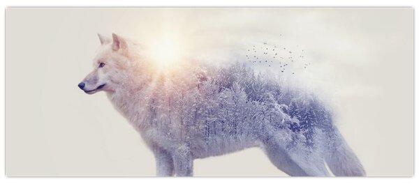 Obraz - Arktický vlk zrkadliaci divokú krajinu (120x50 cm)