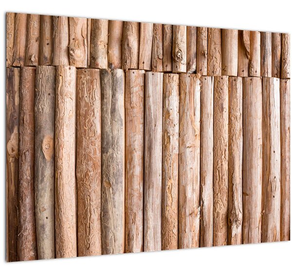 Obraz - Bambus (70x50 cm)