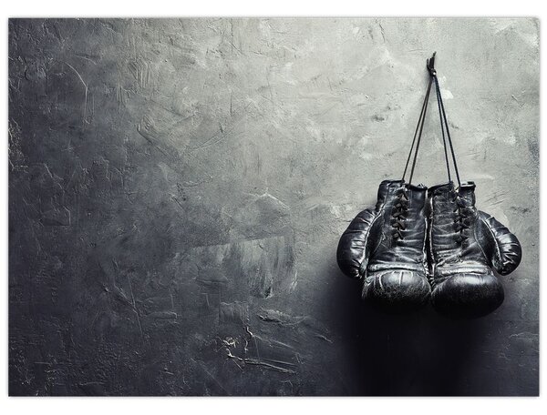 Obraz boxerských rukavíc (70x50 cm)