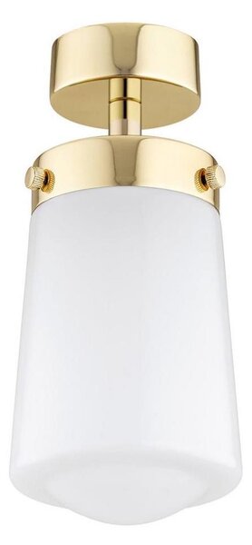 Argon 8005 - Prisadený luster PASADENA 1xE27/15W/230V zlatá/biela