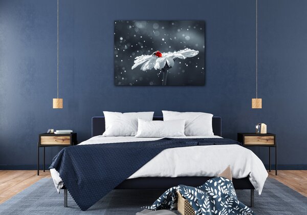 Impresi Obraz Lienka na kvetine - 70 x 50 cm