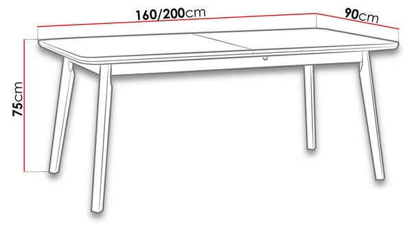 Rozkladací stôl do jedálne 160x90 cm ANGLETON 8 - biely / čierny