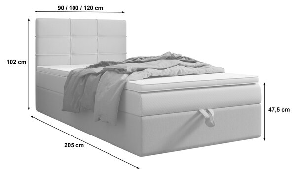 Čalúnená posteľ 120x200 DELILAH 3 - ružová