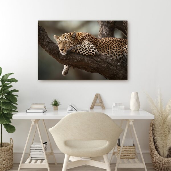 Obraz leopard odpočívajúci na strome
