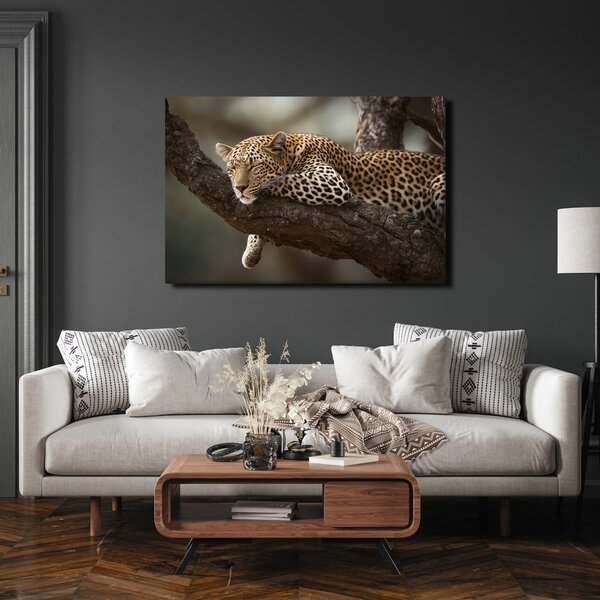 Obraz leopard odpočívajúci na strome
