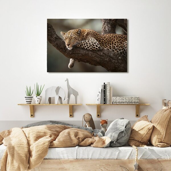 Obraz leopard odpočívajúci na strome