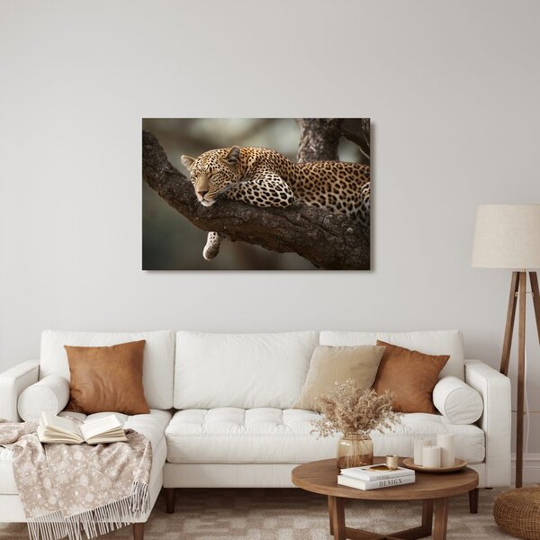 Obraz leopard odpočívajúci na strome