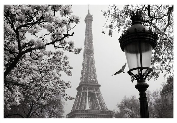 Obraz paríž v zimnej hmle