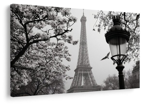 Obraz paríž v zimnej hmle