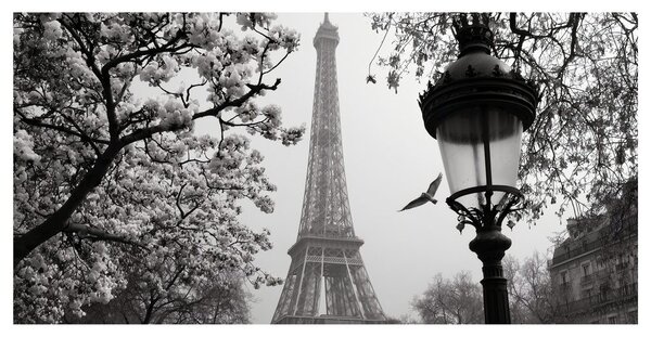 Obraz romantická zimná Paríž
