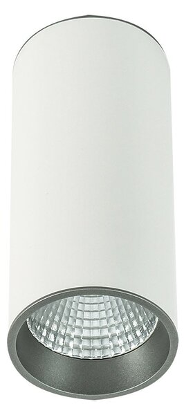 Italux SLC7392 / WH + GR LED stropné bodové svietidlo Moldes 1x12W | 4000K