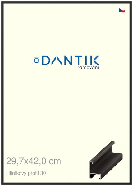 DANTIK rám na obraz 29,7x42 | ALU Černá matná (Plexi Čiré)