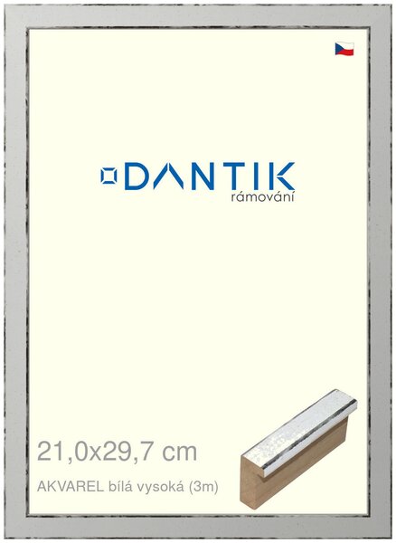 DANTIK rám na obraz 21x29,7 | AKVAREL Bílá vysoká (Sklo Čiré)