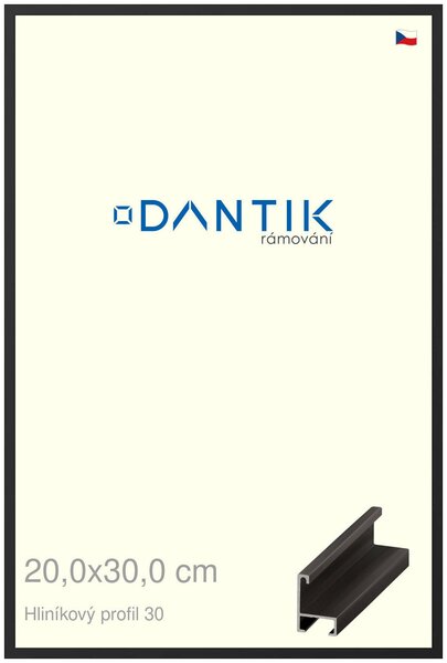 DANTIK rám na obraz 20x30 | ALU Černá matná (Sklo Čiré)