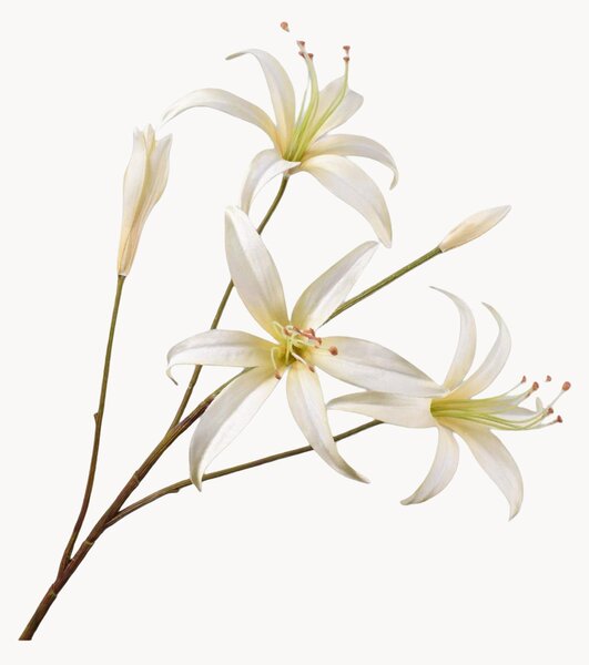 Rastlinné dekorácie Lily, 2 ks