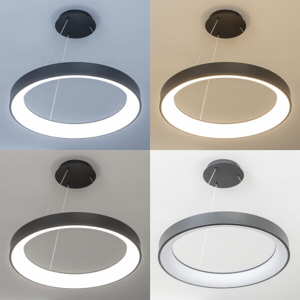 Brilagi - LED stmievateľný luster na lanku FALCON II LED/99W/230V pr. 60 cm čierna + DO