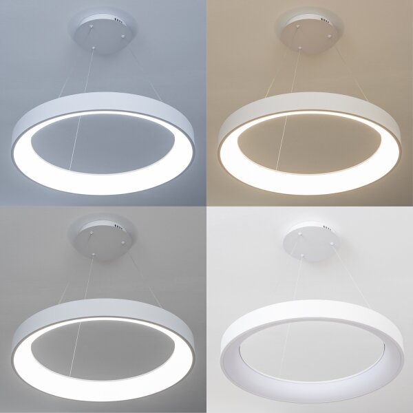Brilagi - LED stmievateľný závesný luster na lanku FALCON II LED/99W/230V pr. 60 cm biela + DO