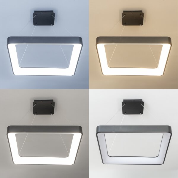 Brilagi - LED stmievateľný luster na lanku FALCON II LED/125W/230V 60x60 cm čierny + diaľkové ovládanie