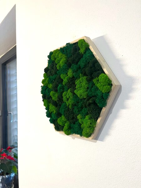 Machový obraz - Hexagon - mix Veľkosť rámu: 21cm ( v najširšom bode )