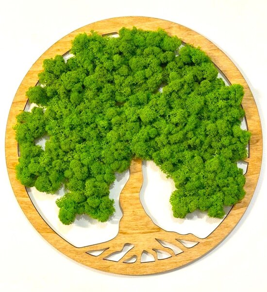 Machový obraz - Strom života Veľkosť rámu: 20cm