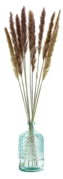 Sušené kvety Pampas - natural fialová Kus: 1
