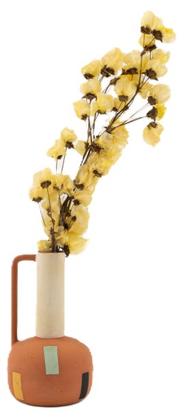 Sušené kvety Bougainvillea Branch - žltá