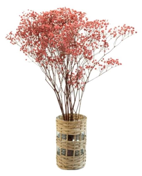 Stabilizované kvety Gypsophila - ružová