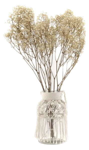Stabilizované kvety Gypsophila - prírodná