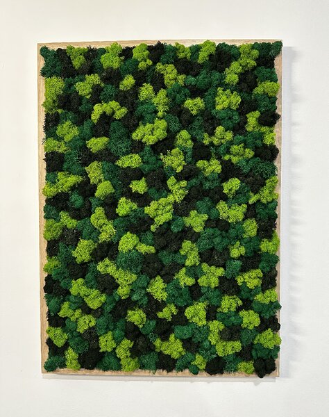 Machový obraz - LIŠ Druh rámu: 50x30cm