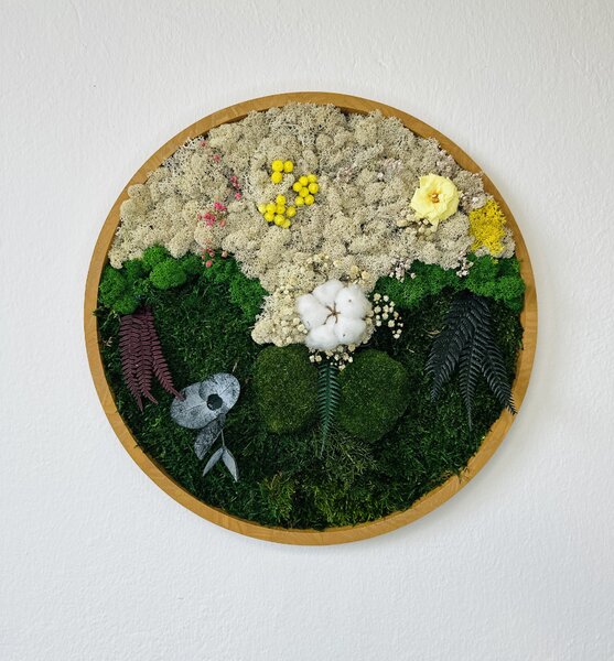 Machový obraz - rastliny Veľkosť rámu: 30cm