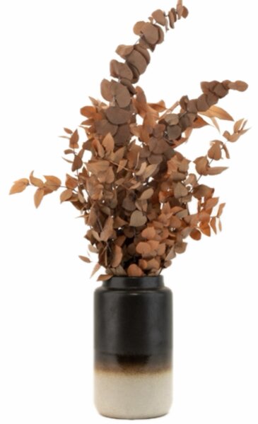 Stabilizovaný eukalyptus Stuartiana - oranžový