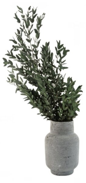 Stabilizovaný eukalyptus Parvifolia - zelený
