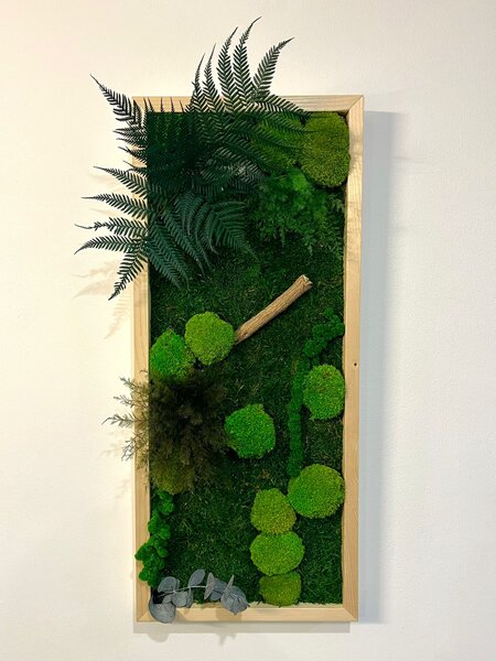 Machový obraz s rastlinami 3D Druh rámu: 90x30cm