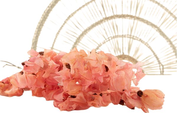 Sušené kvety Bougainvillea Branch - ružová