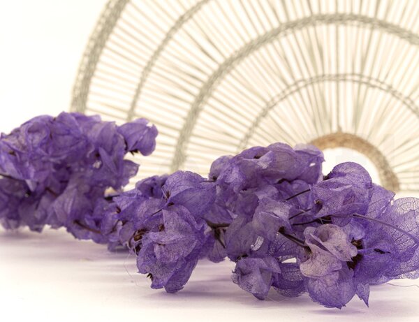 Sušené kvety Bougainvillea Branch - fialová