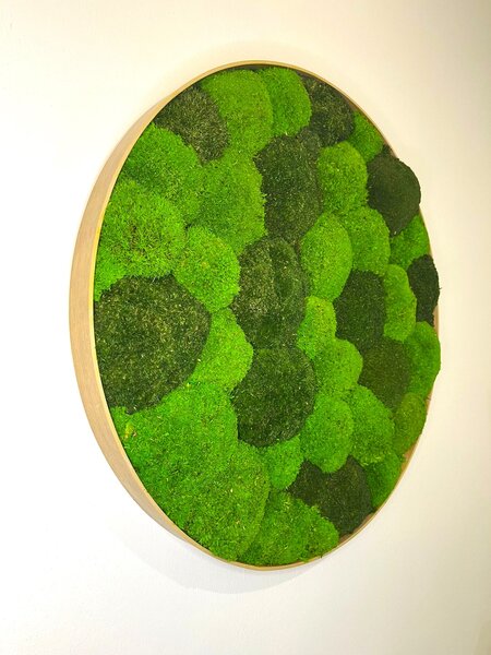 Machový obraz - Kruh - Kopp Veľkosť rámu: 40cm