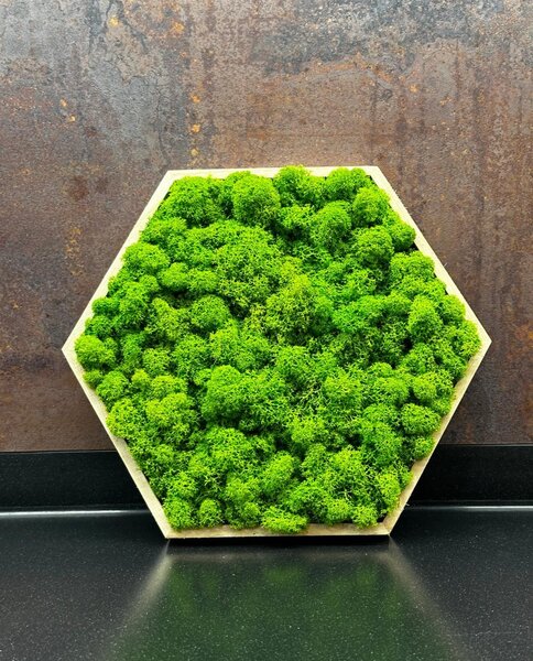 Machový obraz - Hexagon Veľkosť rámu: 21cm ( v najširšom bode )