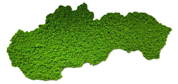 Machový obraz - mapa Slovenska Veľkosť: 135 x 67cm